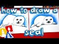 How To Draw A Baby Seal