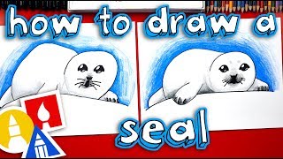 How To Draw A Baby Seal