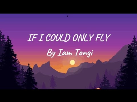 If i could only fly | i am tongi | trend lyrics @officialiamtongi - YouTube