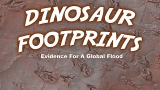 Global Flood - The Fossil Footprints Say Yes!