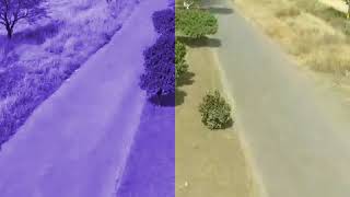 Villa García Márquez El Tarengo Jalisco