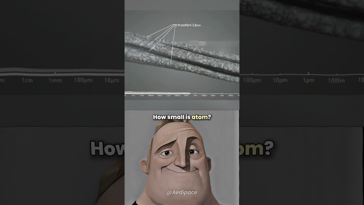 Atom Is Way Smaller Than You Think! 