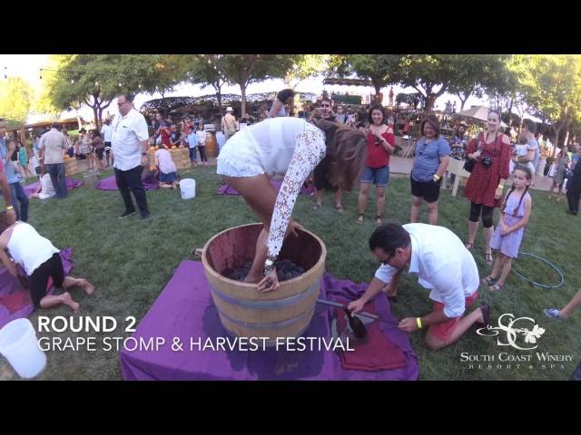 Americus grape stomp highlights agriculture