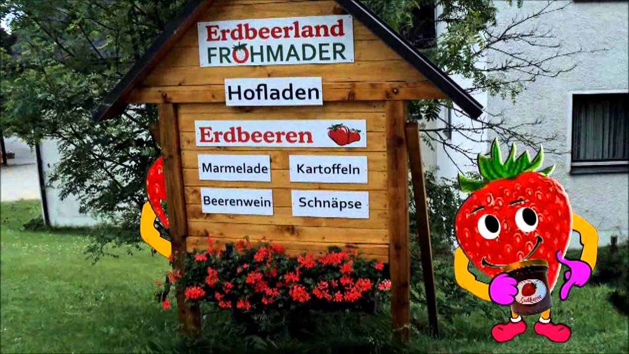 Erdbeerlied mit Beery aus Vordorfermühle, Kinder Lieder