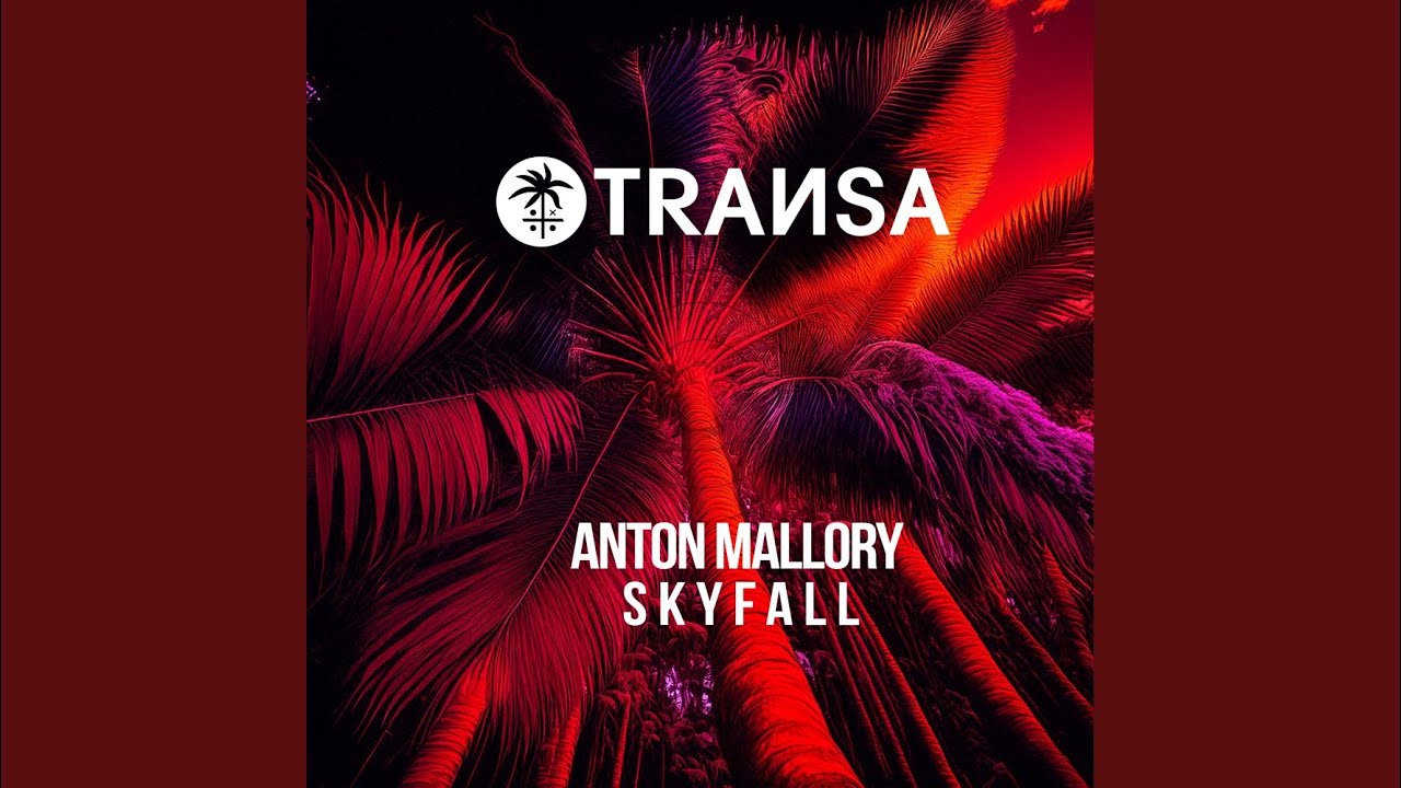 Skyfall (Extended Mix)