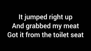 Frank Zappa - Why does it hurt when I pee (LYRICS)