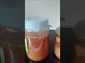  Ферментация Уксусы- свекольный,айва, яблочно-грушевый приготовление и образование уксусной матки.