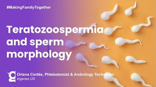 What Is Teratozoospermia  Ingenes