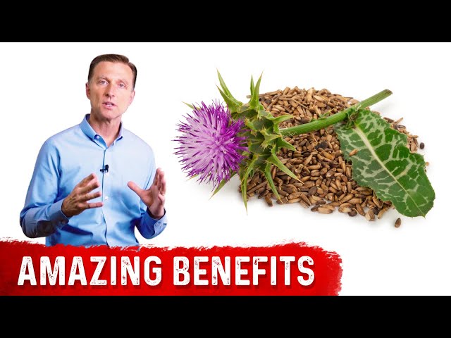 8 Benefits of Milk Thistle for the Liver - YouTube