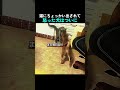 猫にちょっかい出されて怒った犬はついに