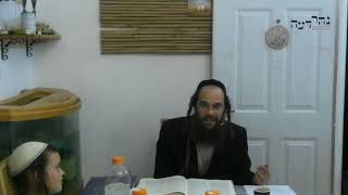 תודה והודאה - חנוכה תשע''ט - כ"ז חשון תשע"ט - שבי דרום - ע"י דן לוינזון