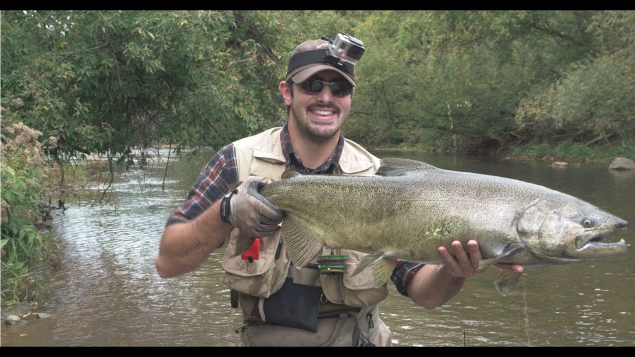 Fly Fishing Sandy Creek Salmon (101317) YouTube