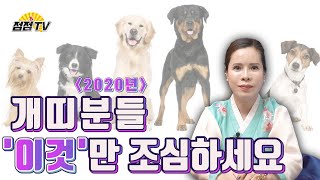 (김포점집 방울만신) 2020년 개띠가 지켜야 하는것들!!! [점점tv]