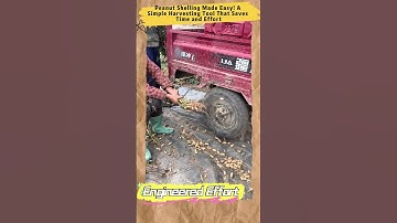 Peanut Shelling Made Easy! A Simple Harvesting Tool That Saves Time and Effort  #EngineeredEffort