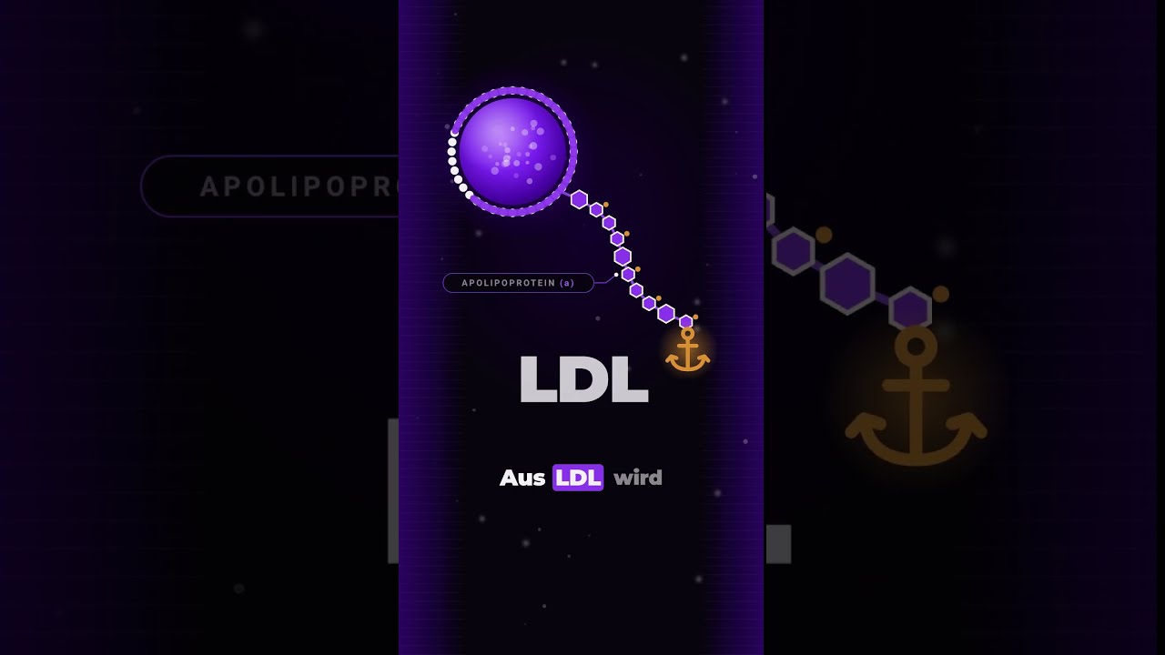 Alles was du über Lipoprotein a wissen musst