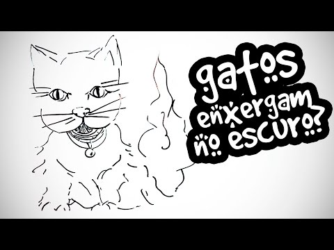 Vídeo: Os gatinhos conseguem enxergar no escuro?