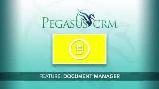 PegasusCRM - Document Manager