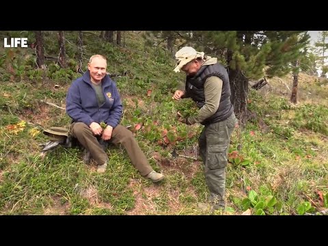 Как Владимир Путин в сибирской тайге отдыхает. Видео