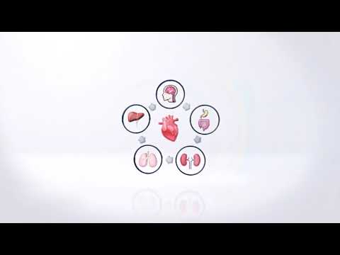 Video youtube tutorial