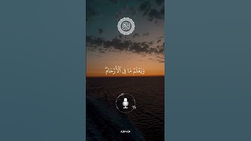 #تلاوات_مطرف_المطرف #سورة_لقمان   #ايات_قرانيه_قصيره #اكسبلور #راحة_نفسية #السعودية #تلاوة_خاشعة