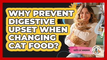 Why Prevent Digestive Upset When Changing Cat Food?