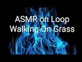 Walking On Grasa ASMR video Loop