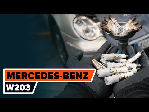 Spark Plug LPG Laser Line LPG1 NGK | - Spark plugs
