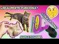 Furminator ¿Realmente Funciona? ¿Vale La Pena? - Cepillo Deslanador Para Gatos -SiamCatChannel