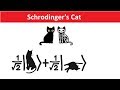 Schrodinger's Cat Explained in Hindi - Quantum Physics, Many World Theory & Reality