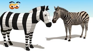 CUBE BUILDER for KIDS (HD) - Build a Zebra for Children - AApV