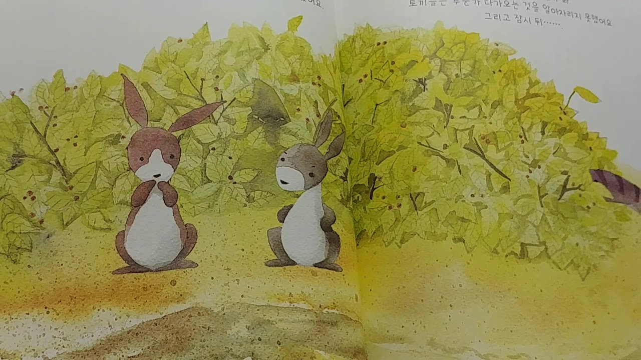 귀가 긴 토끼 A long - eared rabbit /Korean children's book reading - YouTube