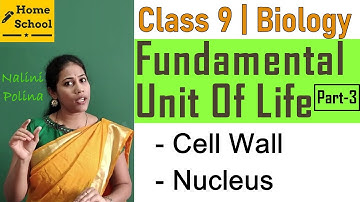 Fundamental Unit Of Life Class 9 biology  Part-3