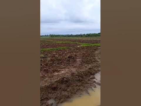 casfarm V5 - YouTube