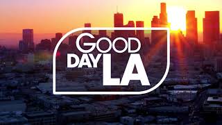 Good Day LA - Theme 2