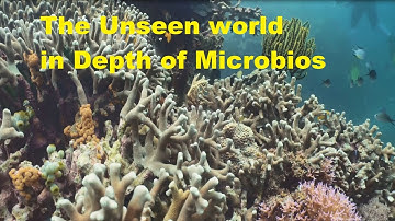 The Unseen World in depth of   Microbes    ]]    JJUUKO JULIUS