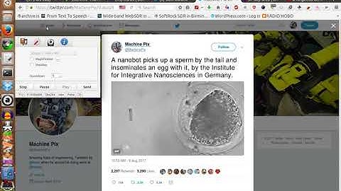 Nano-Bot inseminates Egg with Sperm