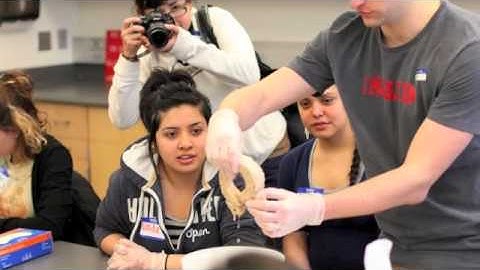 Dare To Dream Project - LMSA YouTube Community Engagement Video 2013