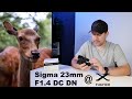 Sigma 23mm F1.4 DC DN Objektiv für den Fujifilm X Mount