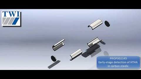 Detection of HTHA JIP Proposal