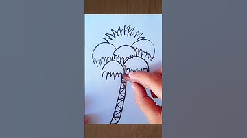 Palm 🌴 Tree drawing #art #drawing #how to draw