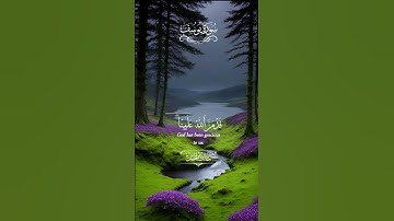 ماتيسر من سورة يوسف ..#quran #قرآن #راحة_نفسية #المصحف #foryou #fypシ #trending #explore