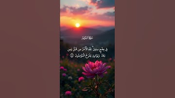 تلاوة هادئة من سورة الروم 😴 #المصحف #quran #راحة_نفسية #حالات_واتس