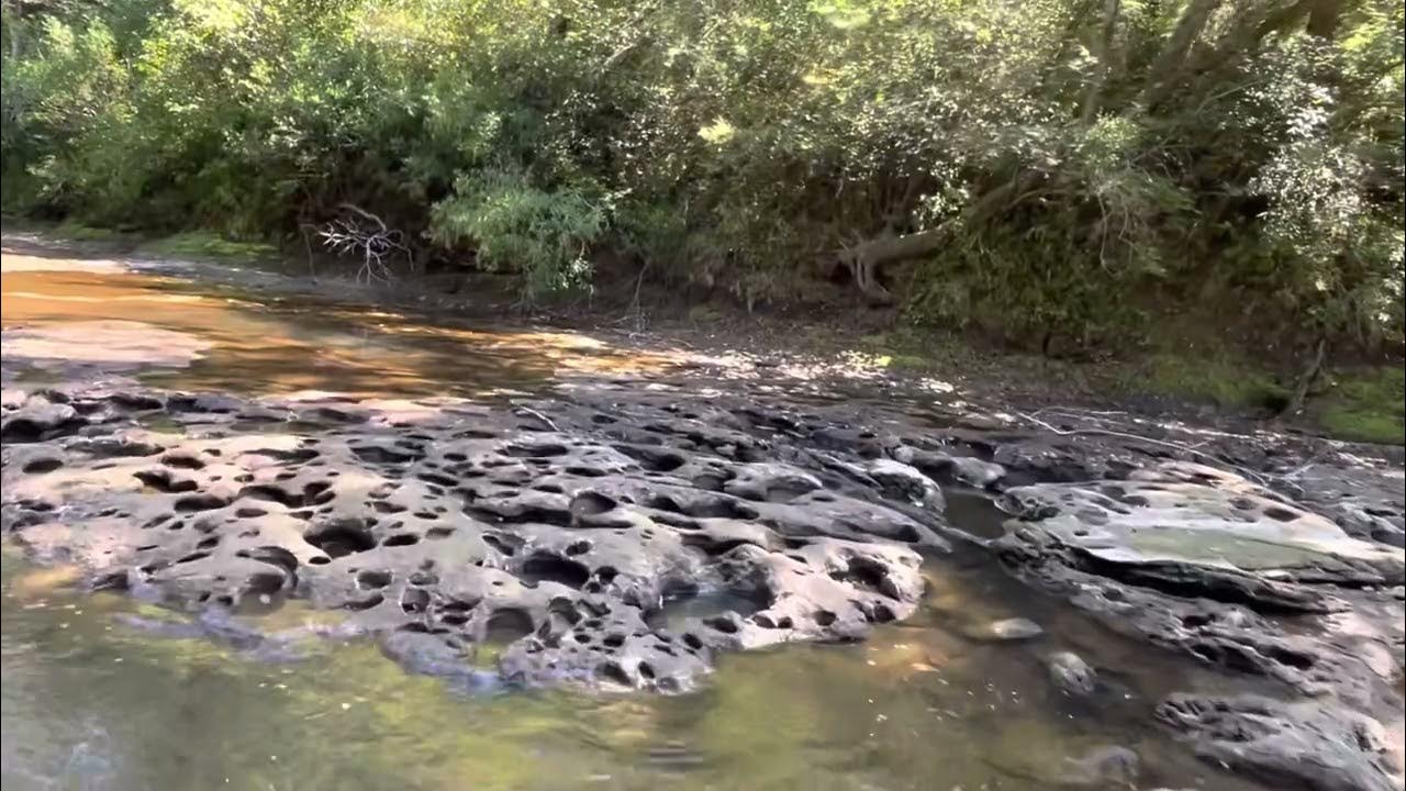 The Choctawhatchee River by airboat from Clayhatchee , Alabama to Hwy