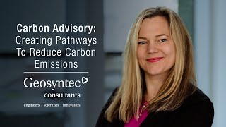 Celebrity Carbon Advisory: Creating Pathways to Reduce Carbon Emissions | Annika Wallendahl Net Worth