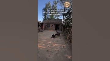 BÓNG NGƯỜI XƯA GIỮA NGÔI LÀNG CŨ