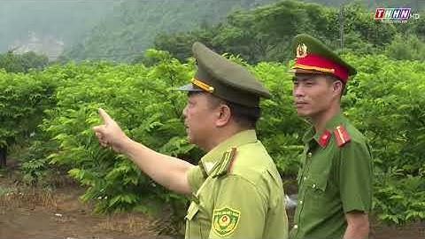 TĂNG CƯỜNG CÔNG TÁC PHÒNG, CHỐNG CHÁY RỪNG MÙA NẮNG NÓNG