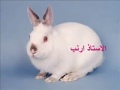 أجمل أغاني الأطفال هم النم عفاف راضي أجمل أغاني الأطفال هم النم عفاف راضي