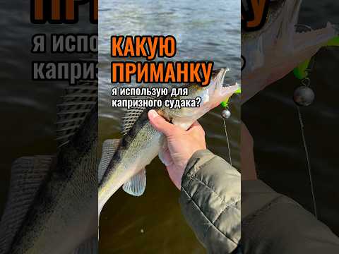 Это самая стабильная