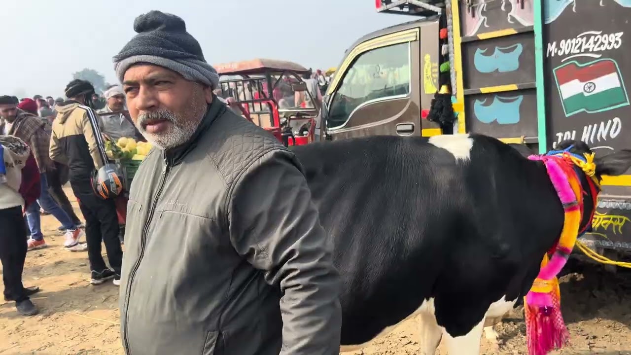 पश्चिमी उत्तर प्रदेश का सबसे बड़ा बाजार पारसी 🐂