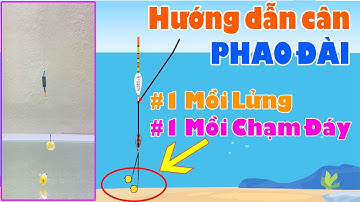 Hướng Dẫn Cách Cân Phao 1 Mồi Lửng 1 Mồi Chạm Đáy Trong Câu Đài Câu Trà Bèo, Đáy Bùn Cực Kỳ Hiệu Quả